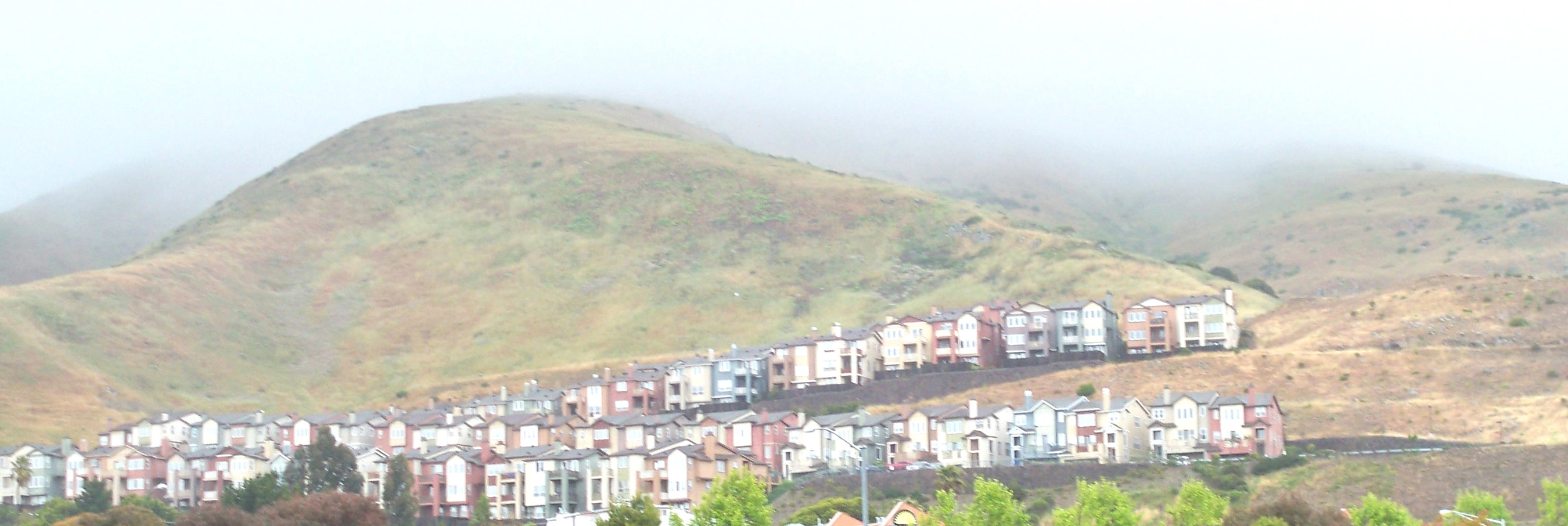 Bay Area
              hillside site