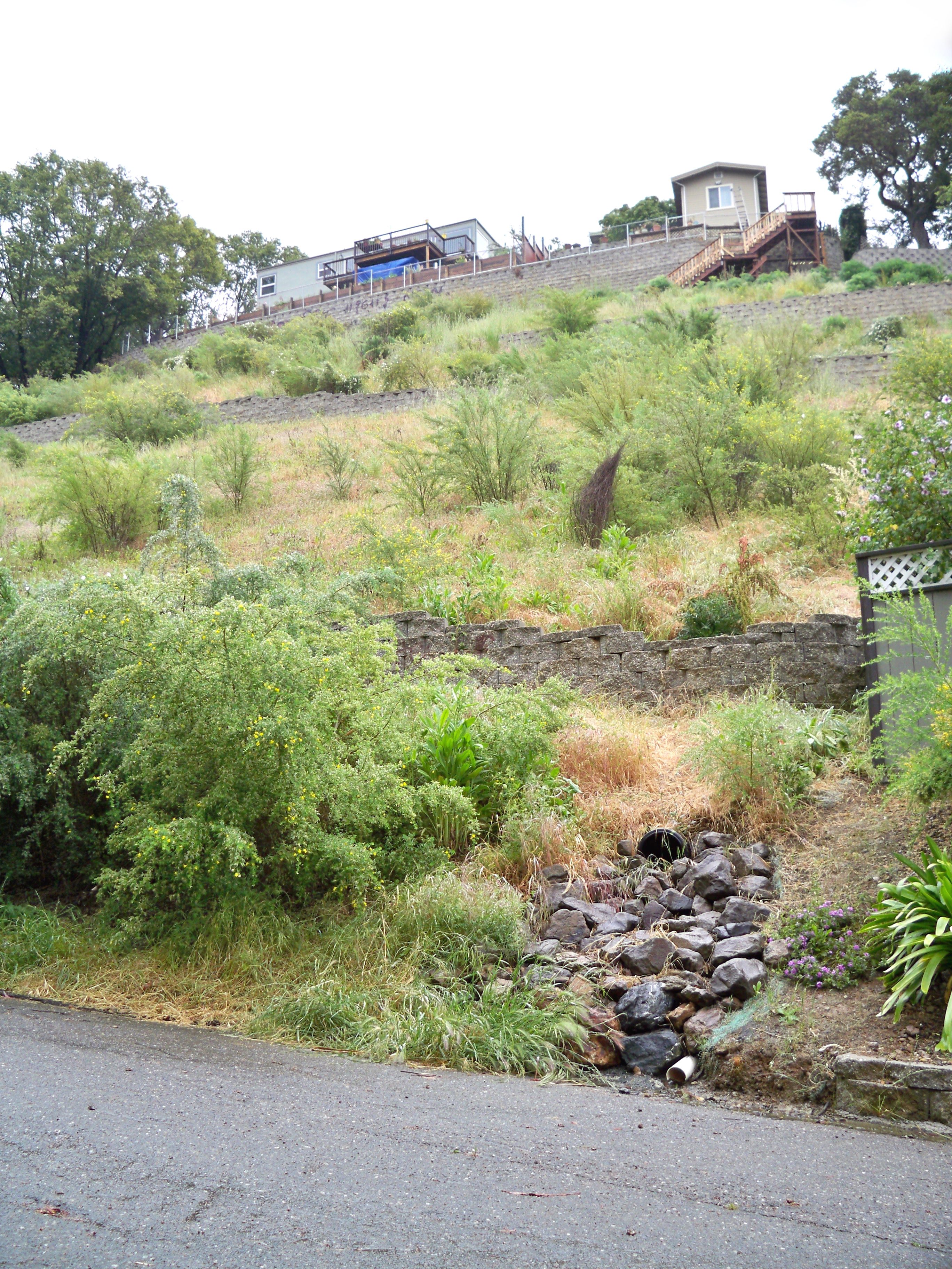 Oakland hillside