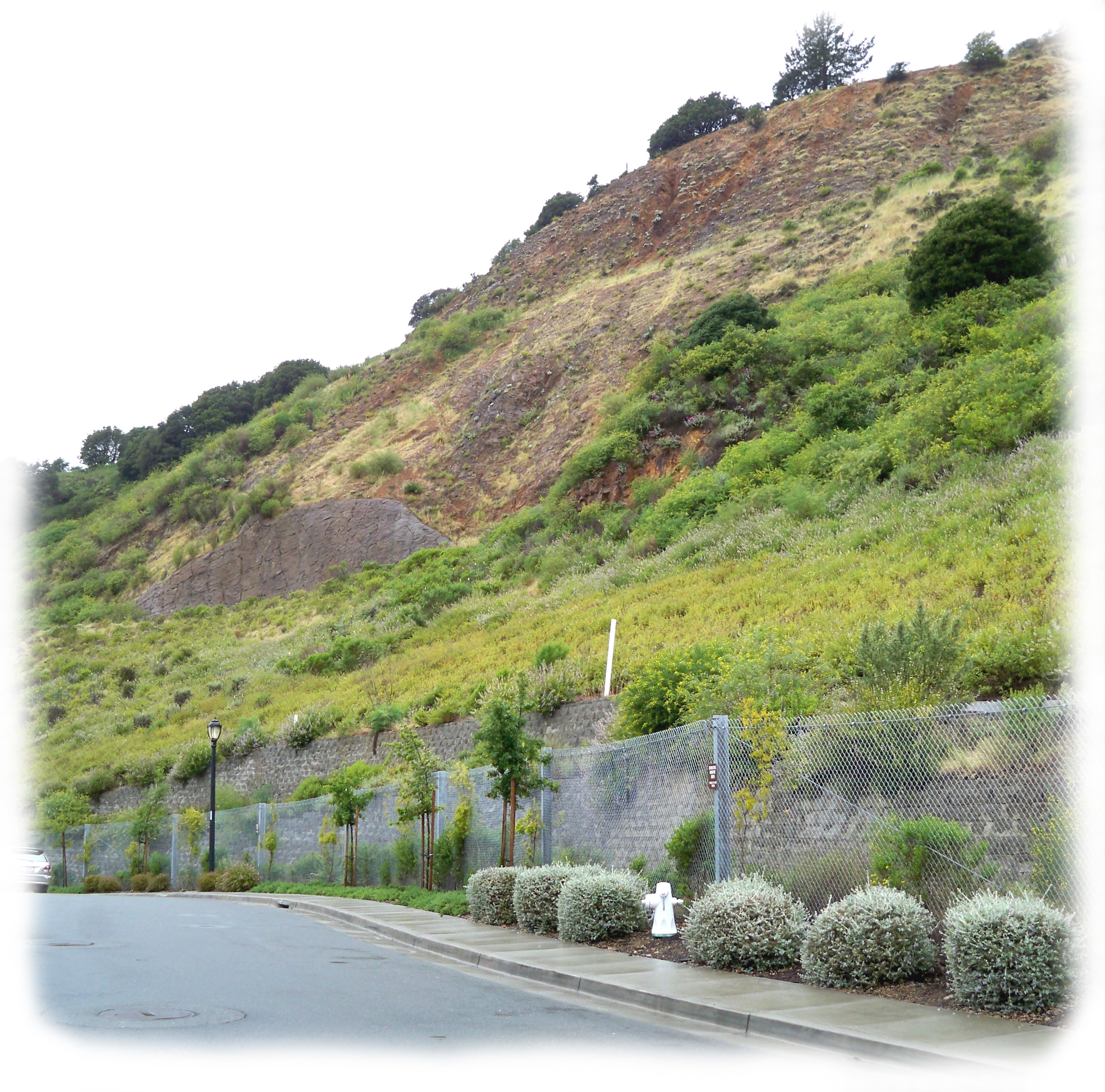 rockfall
                  fencing