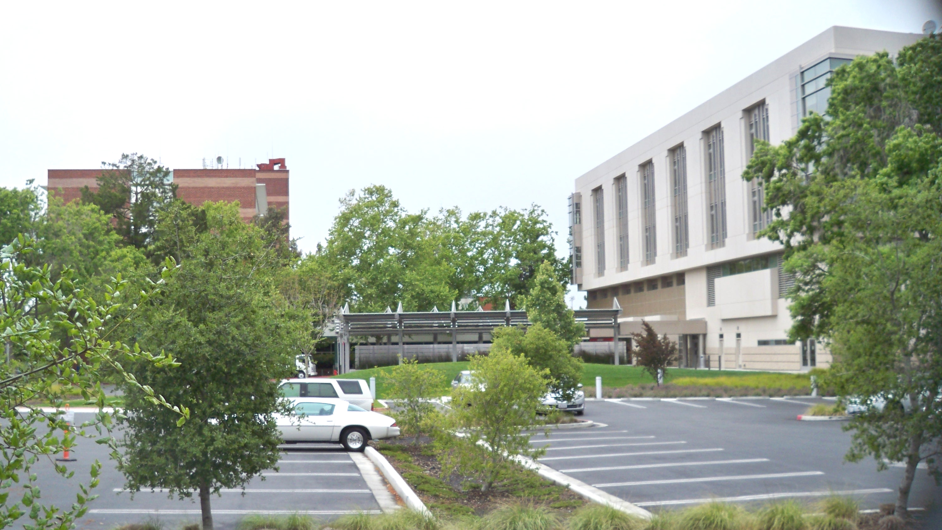 South Bay hospital