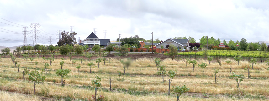 Winery site